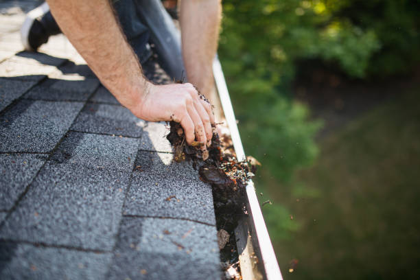 Mold Inspection